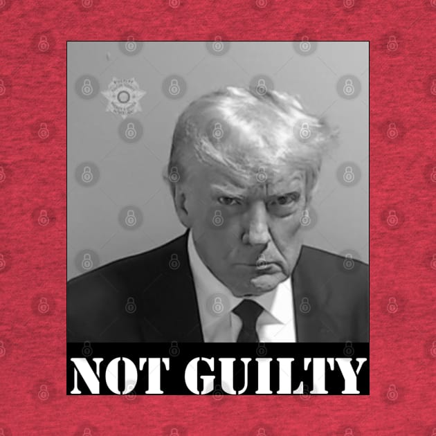 TRUMP MUGSHOT NOT GUILTY by thedeuce